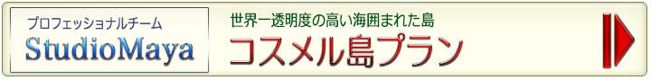 カンクンフォトウェディング/ コスメル島プラン