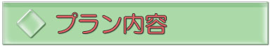 ウェディングフォトプラン内容