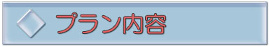 ウェディングフォトプラン内容