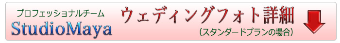 カンクンフォトウェディング詳細スタンダードプラン