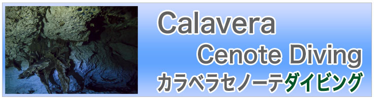 カンクン/カラベラセノーテダイビング